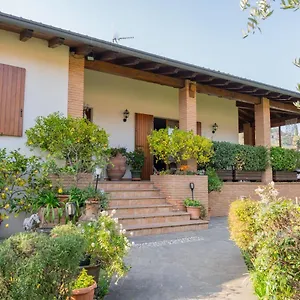 Ulivi , Padenghe sul Garda Italia